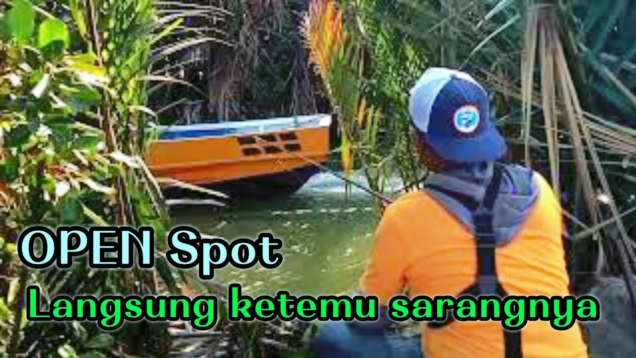 Begini cara saya mencari tempat berkumpulnya ikan baronang muara