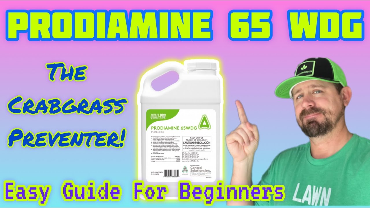 Prodiamine 65WDG: When, Why, & How Much To Apply! (it's too easy!)