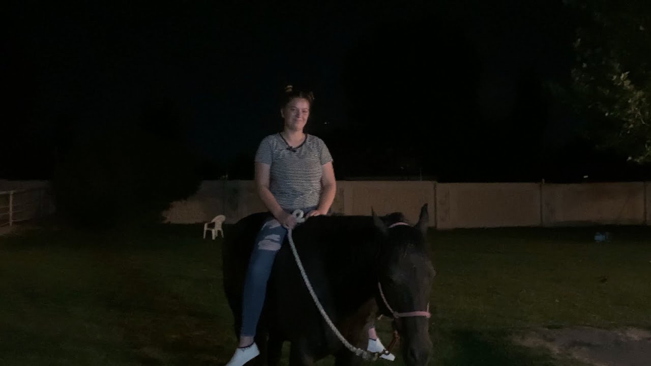 Riding bareback tips - Horsemanship