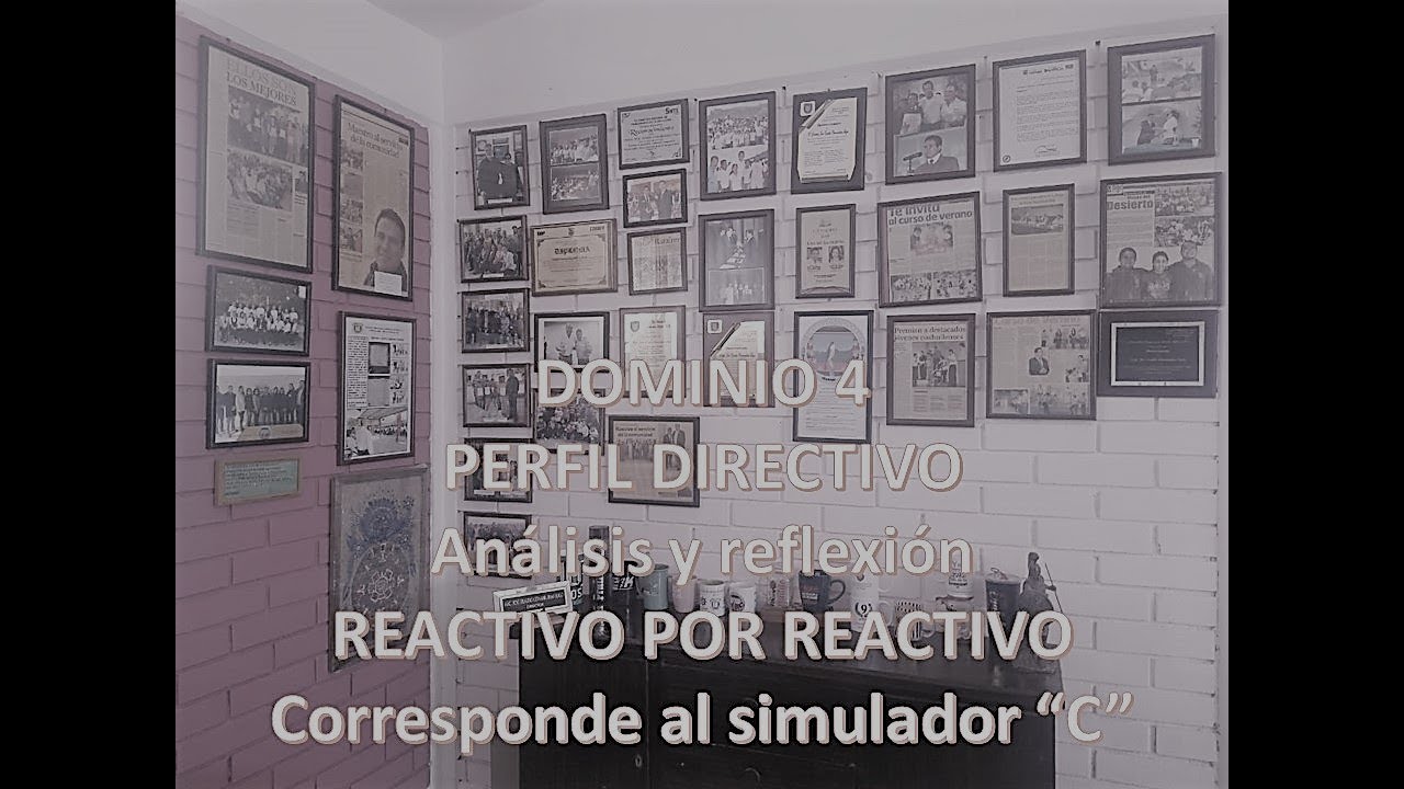 DOMINIO 4 PERFIL DIRECTIVO
