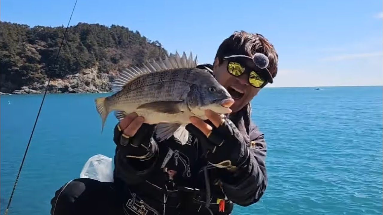 감성돔 '버저비터'란 이런 것! 꽝이 없는 방송은 계속됩니다. #감성돔 #낚시 #글로리호 #전유동 #반유동 #당두호 #끄심바리 #fish #fishing #fishingvideo