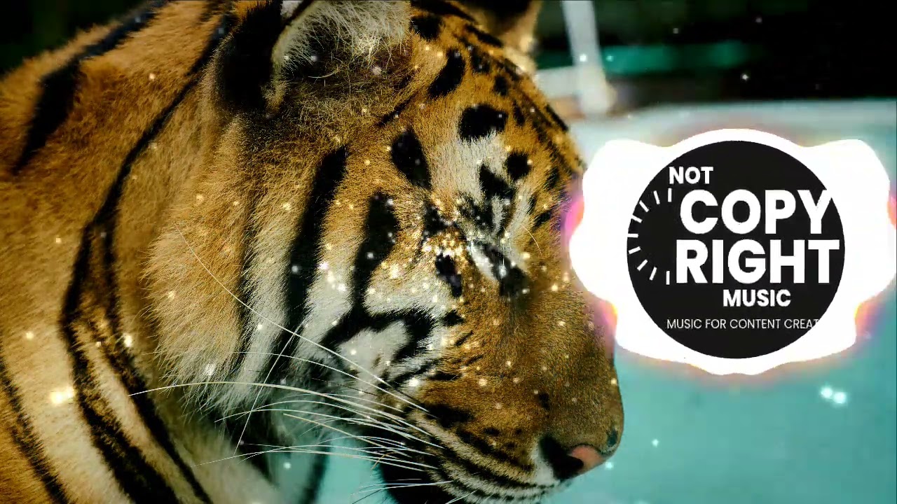 🎧  Survivor - Eye Of The Tiger (Hyperbits & Bender Remix) 🎧 [ Blog Not Copy Right Music ] 🎶