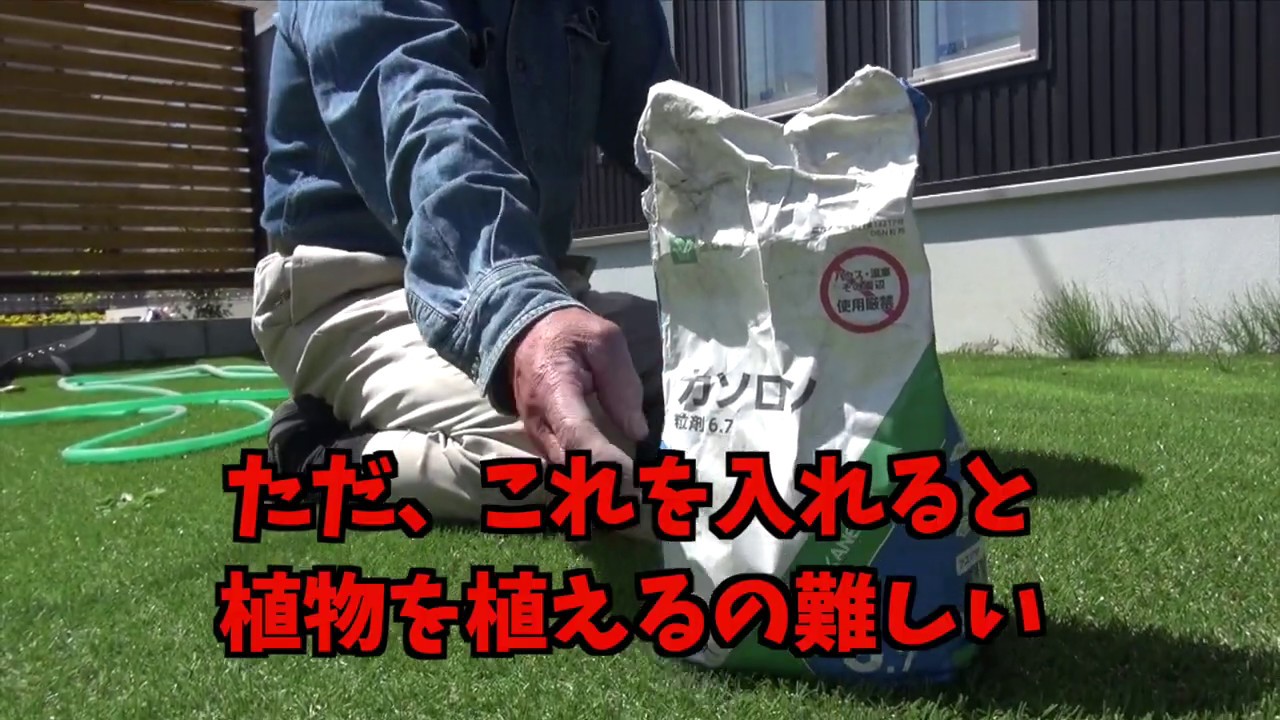 【実践】除草剤でスギナ根絶【雑草処理】