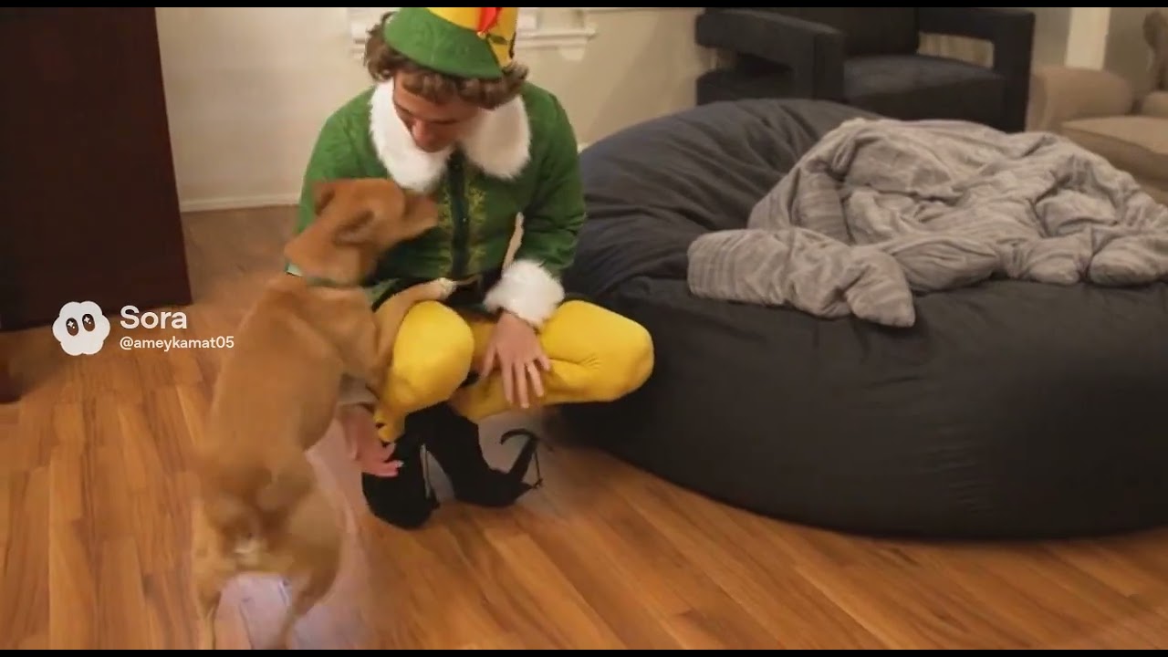 Elf Buddy Meets Buddy The Dog