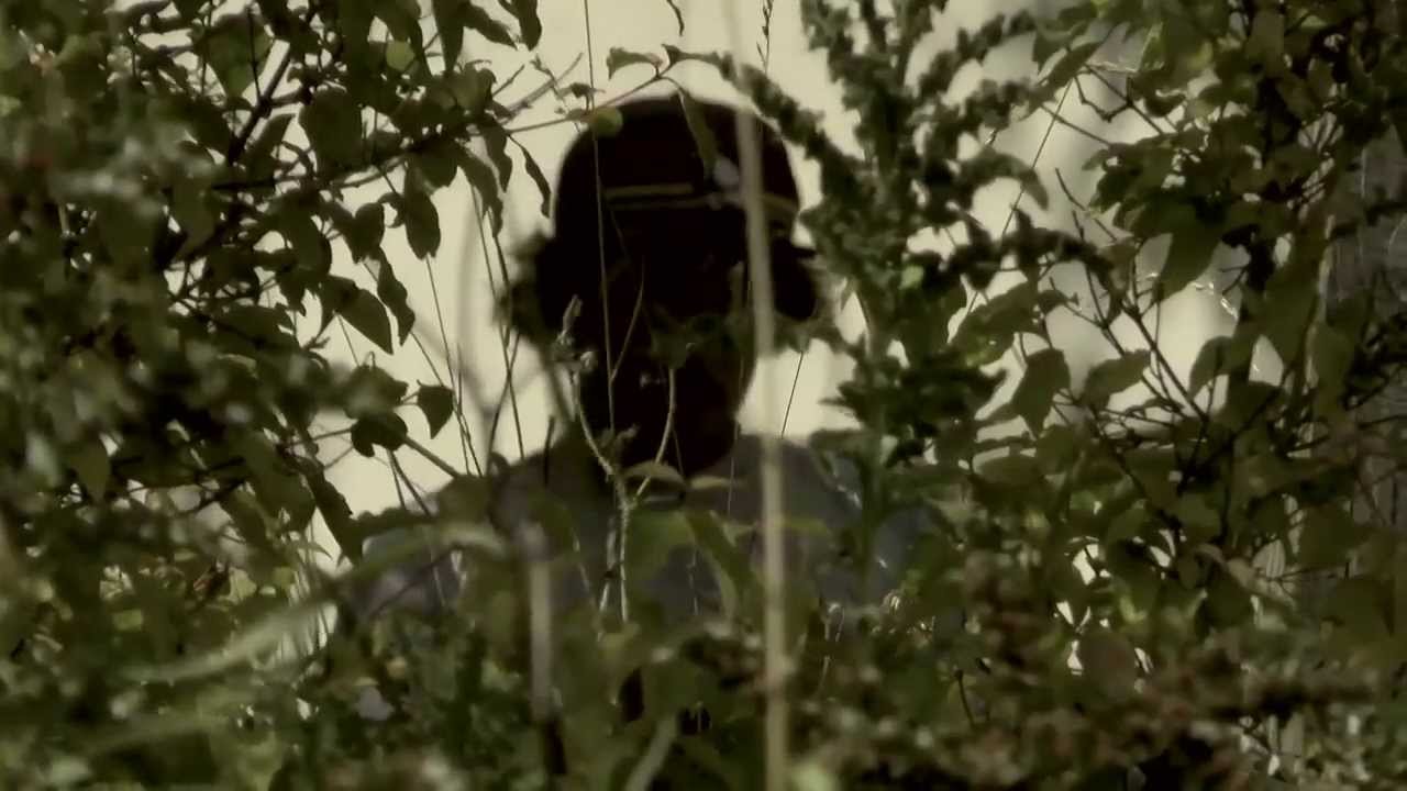 XSJADO - Blake Bird 2013