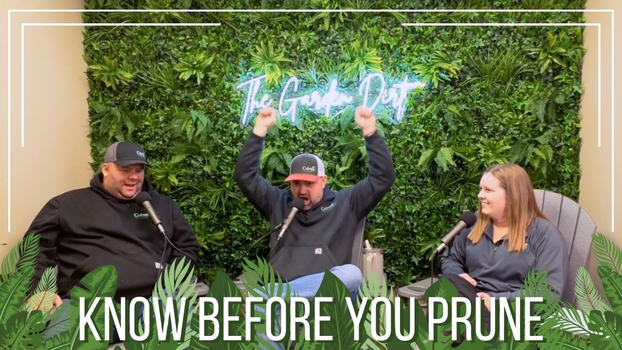 Know Before You Prune: Trees, Shrubs & Hydrangeas Explained | S2 Ep 01