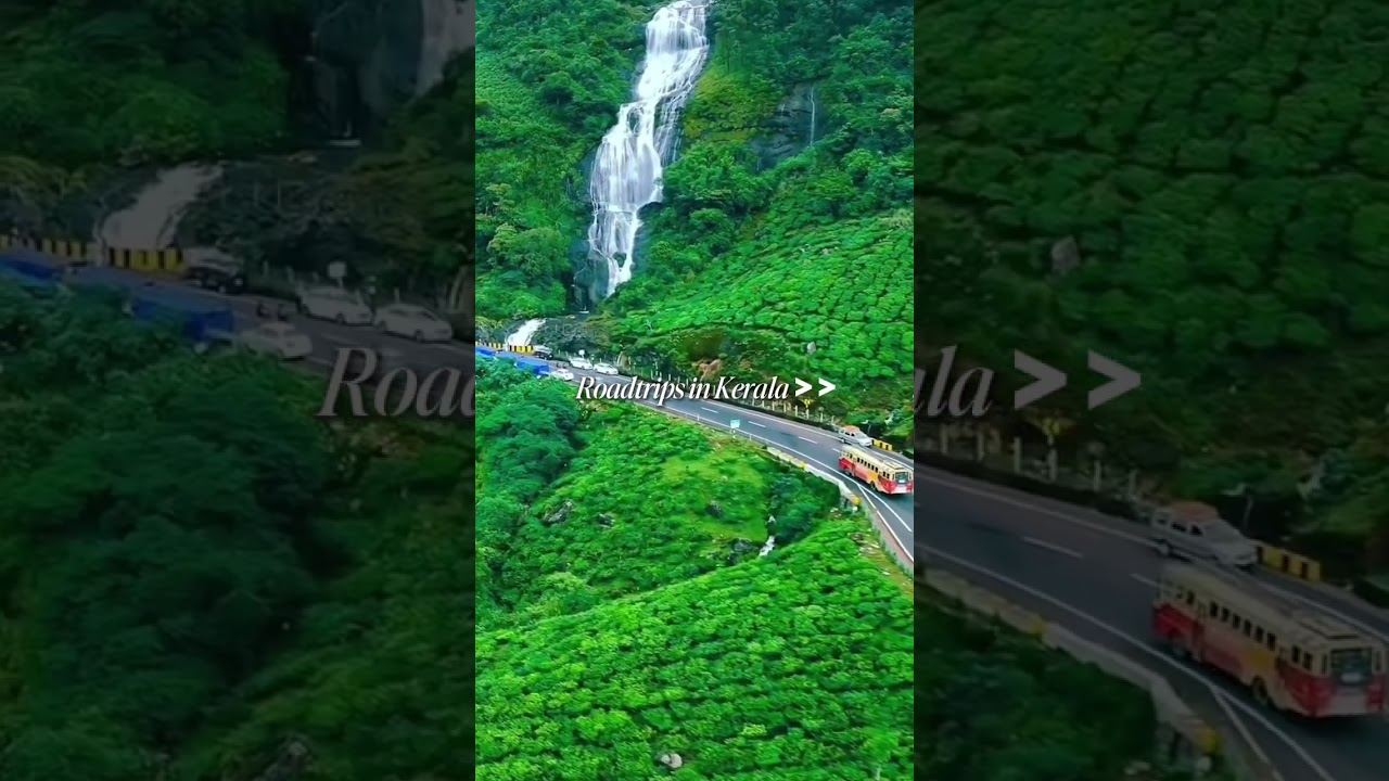 Best Roadtrips you could ever have!🌴🔥