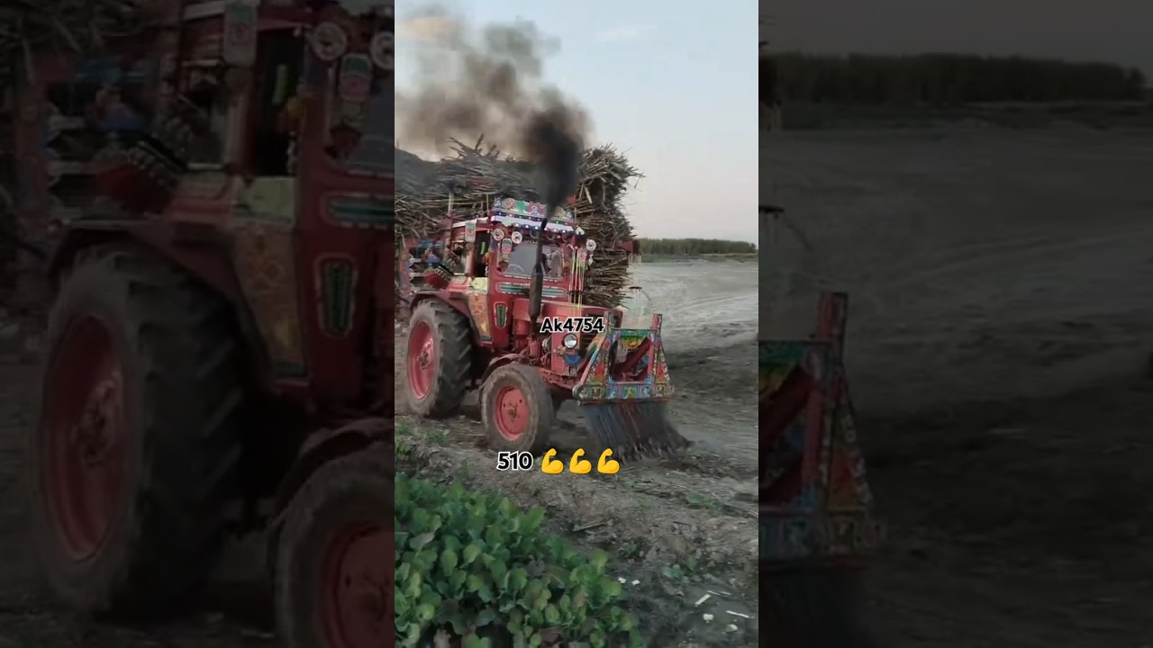 Belarus 510 tractor power with Lord trolley 💪💪 | tractor video | tractor stunts video | tractor