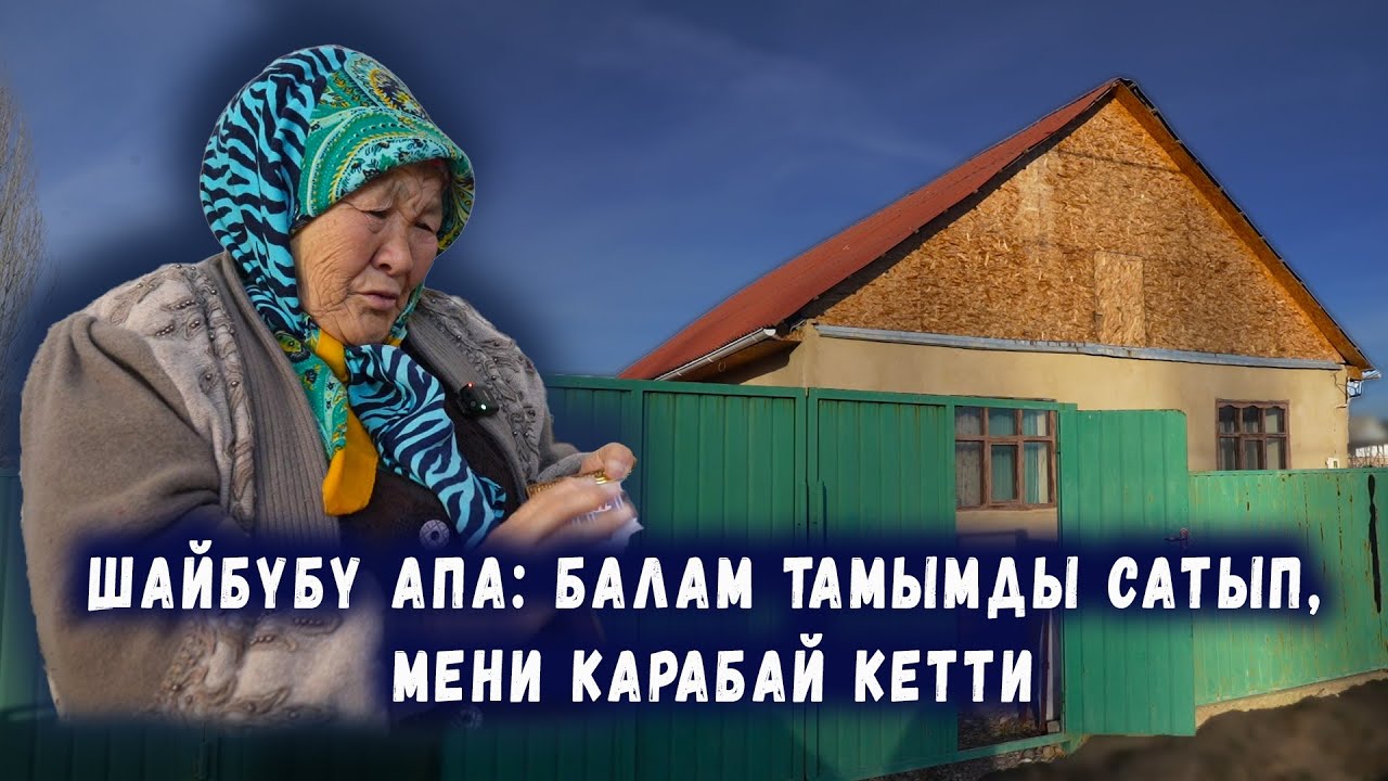 Шайбүбү апа: Балам тамымды сатып, мени карабай кетти // Там талаш // Сокол Медиа
