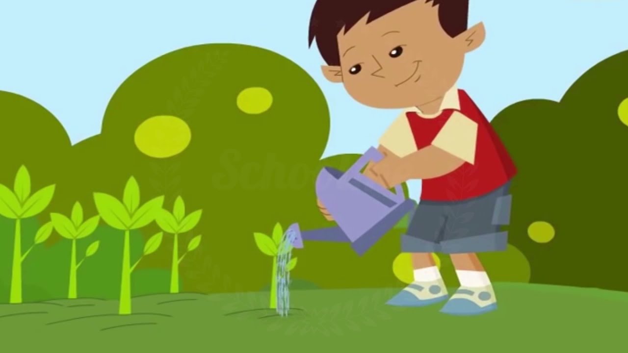 Të kujdesemi për mjedisin ( pjesa 2)