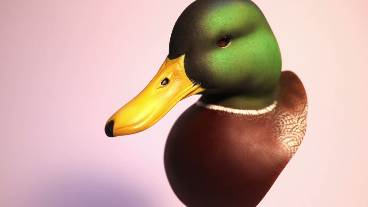 Carving A Mallard Duck Decoy Head From Wood