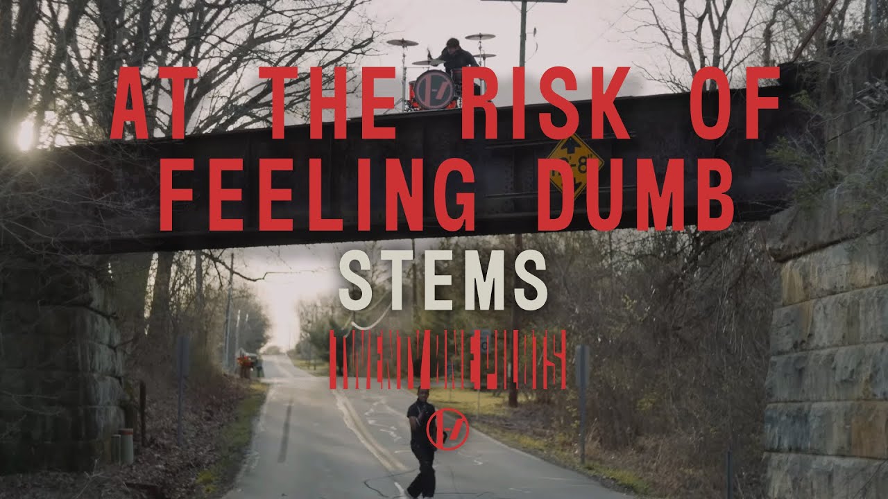 twenty one pilots - At The Risk Of Feeling Dumb (Stems)