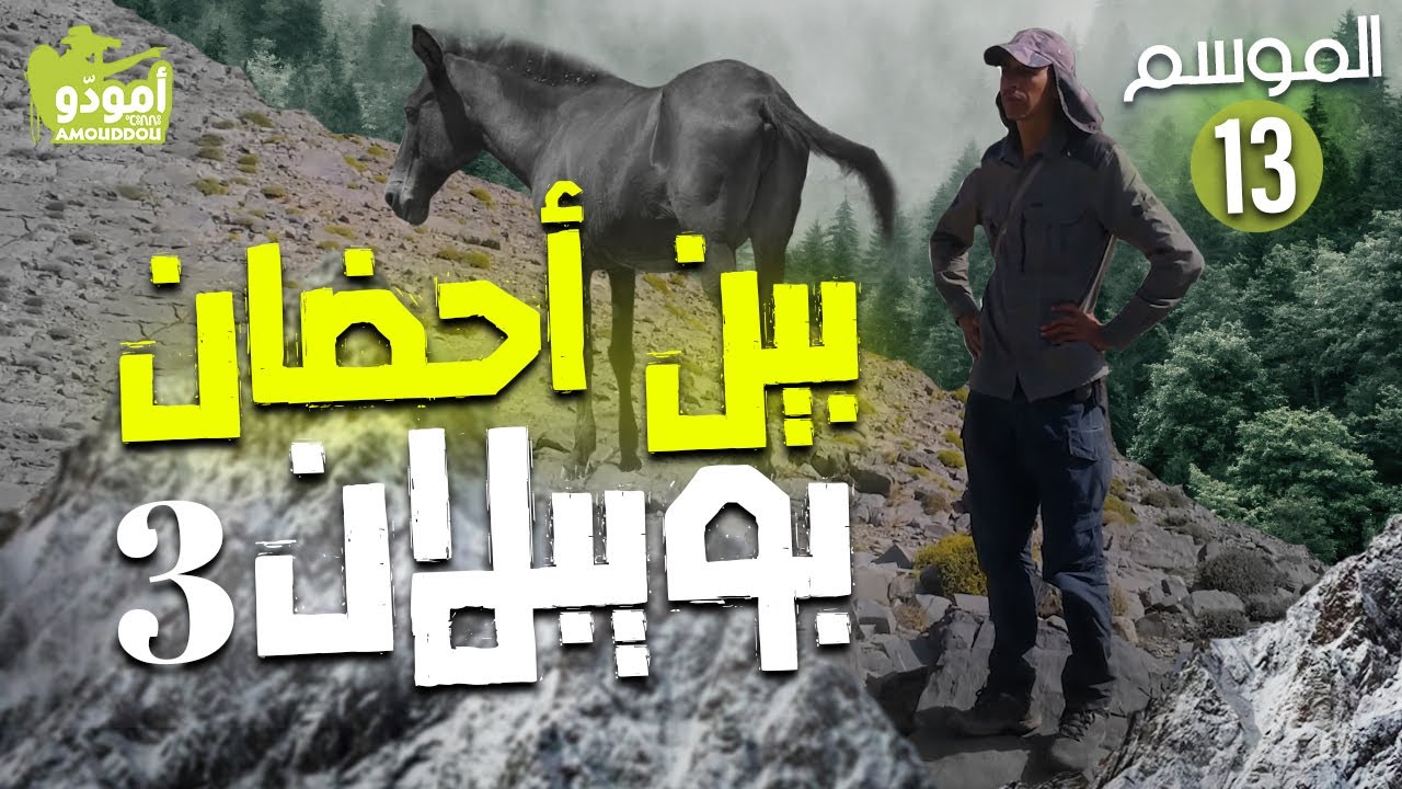 ✅  أمودّو 185 | بين احضان بويبلان / 03