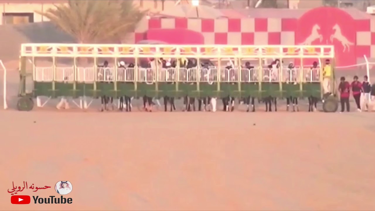 ممثل الجوف في نادي الفروسيه بالرياض البطل ( طويل الشوح ) للمالك مسفر بن فايز الرويلي