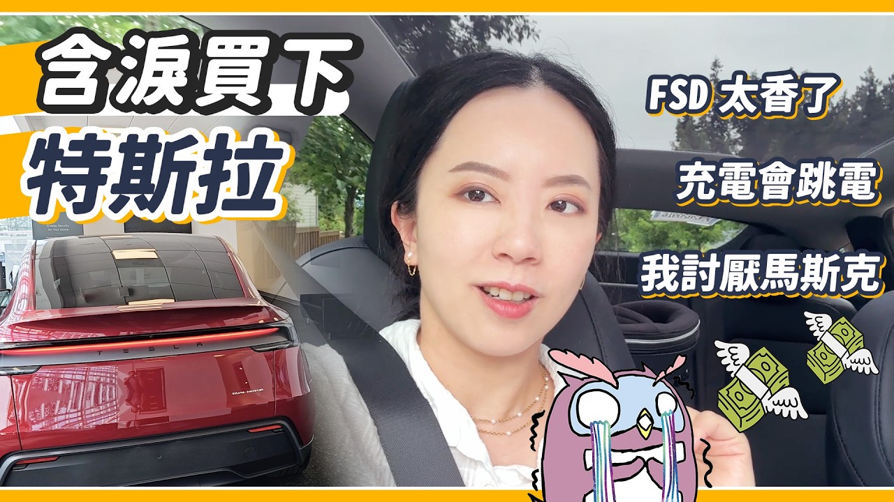 特斯拉讓我又愛又恨！FSD爽到飛起，馬斯克我還是討厭你！