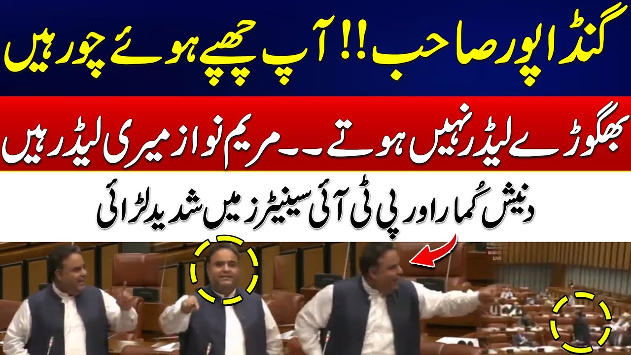 Hindu Senator Danesh Kumar Big Fight With PTI Senators - Heated Debate In Session - 24 News HD