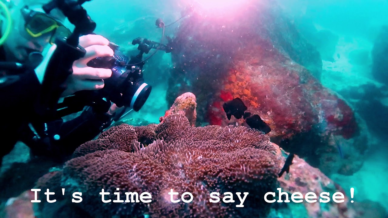 4K Pulau Weh 42 Dives