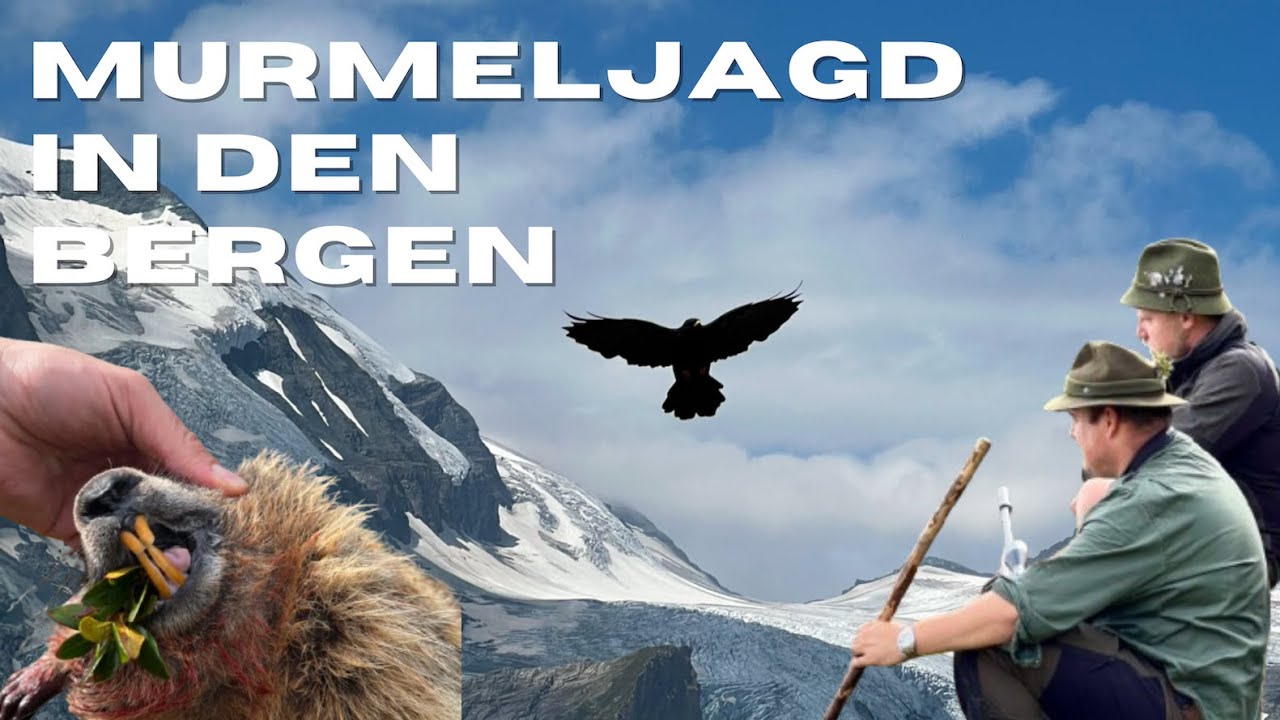Zwischen Gipfeln und Tälern - Faszination Bergjagd. Rotwild, Gamswild und Murmeltiere hautnah