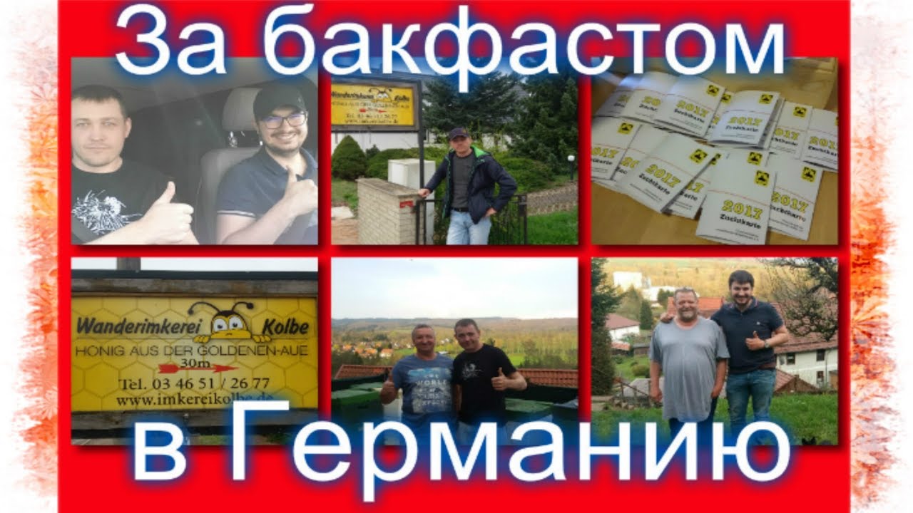 За бакфастом🐝Весенний круиз в Германию за зимовалыми матками