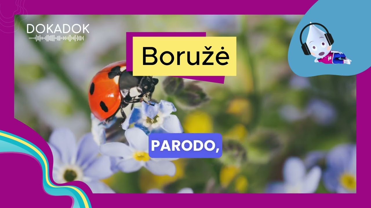 Boružės Mitas Atkleistas!