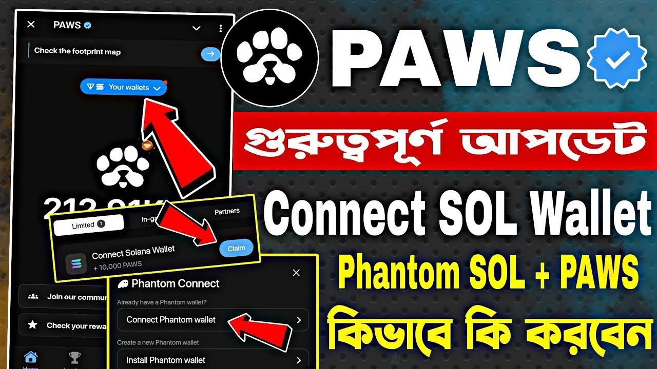 Paws Connect Solana Wallet New Tasks | Paws New Update Bangla | Paws Phantom Sol Wallet Connect