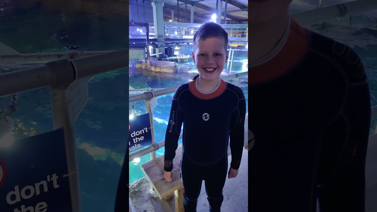 Junior Shark Dive Experience | Blueplanet Aquarium | Scuba