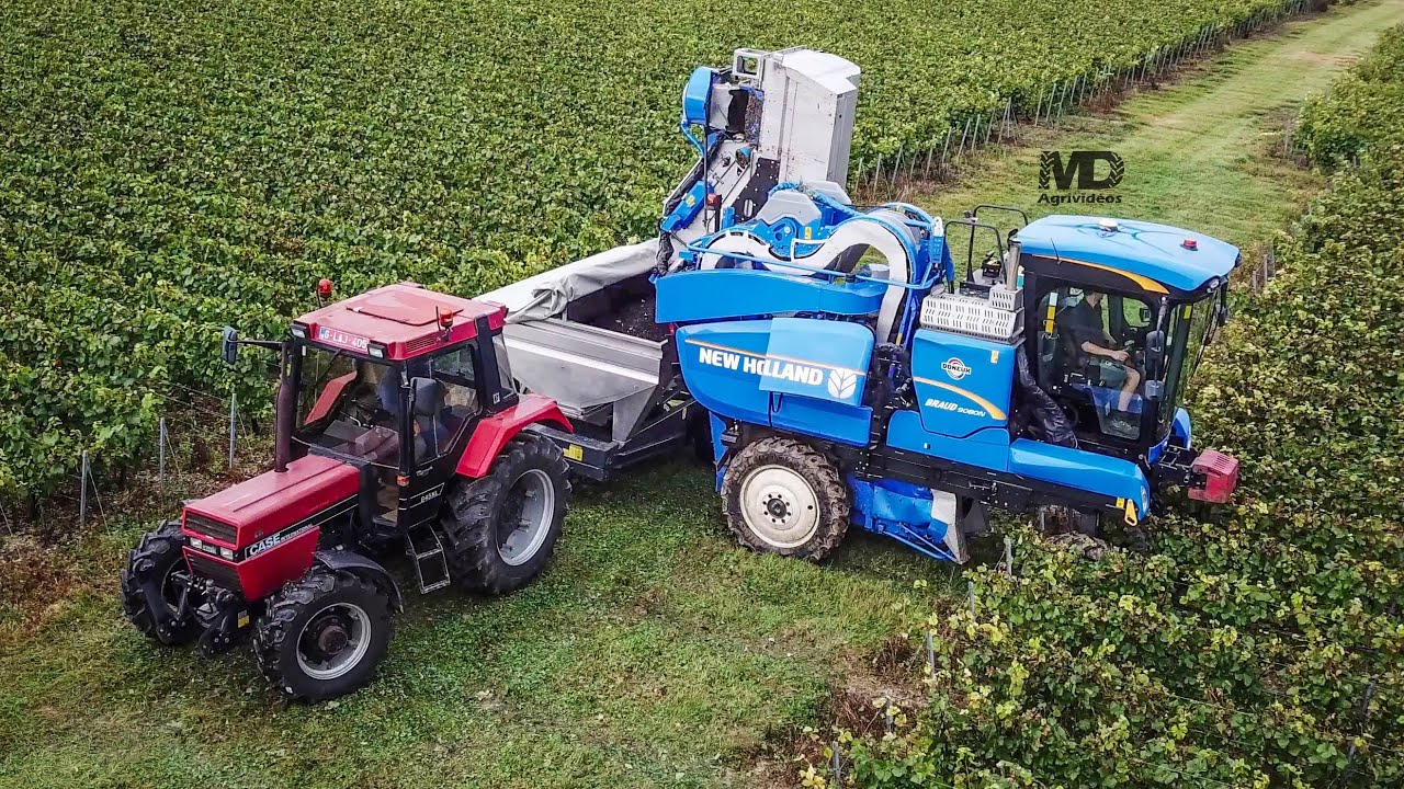 🍇Vendanges aux Vignobles des Agaises🍾