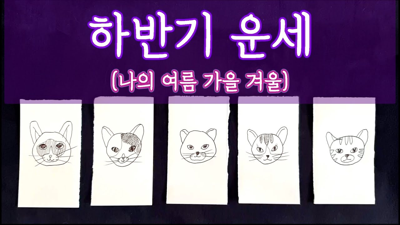 [타로🛁] 나의 하반기 운세에 대하여