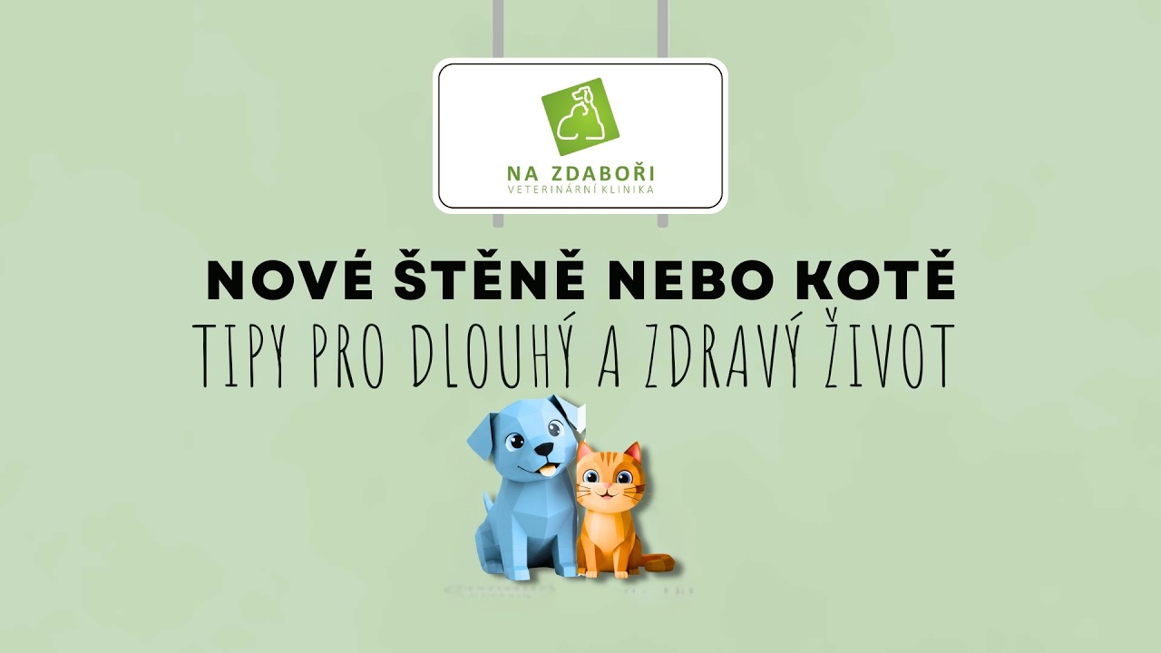 Tipy pro nové štěňátko a koťátko.
