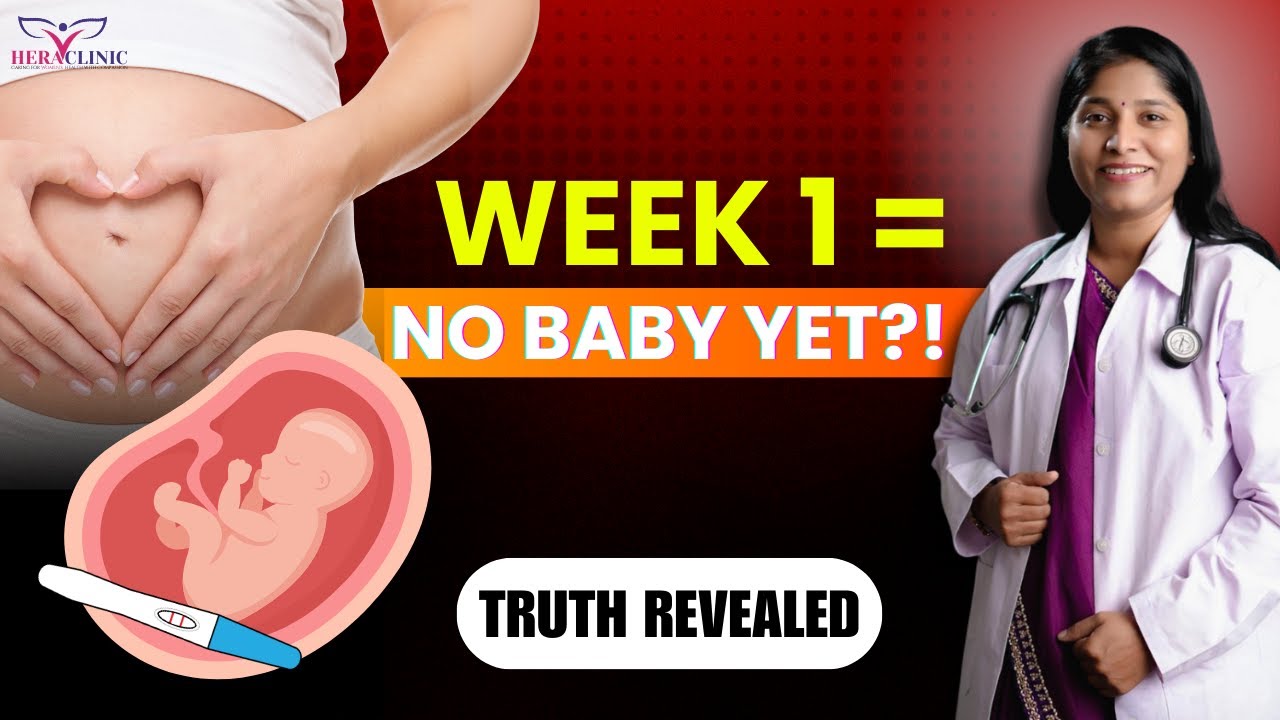 Pregnancy Week 1: What’s REALLY Going On Inside Her Body
