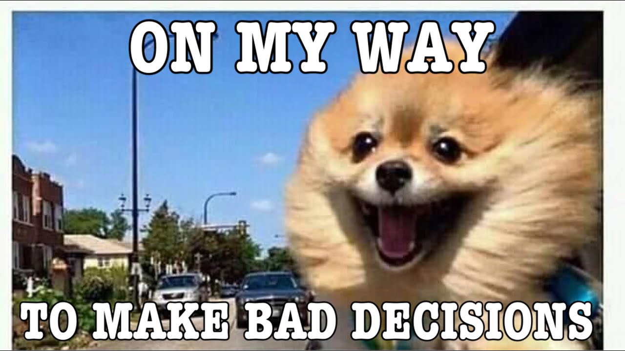 MEMES TO MAKE ME LAUGH 2020 #7