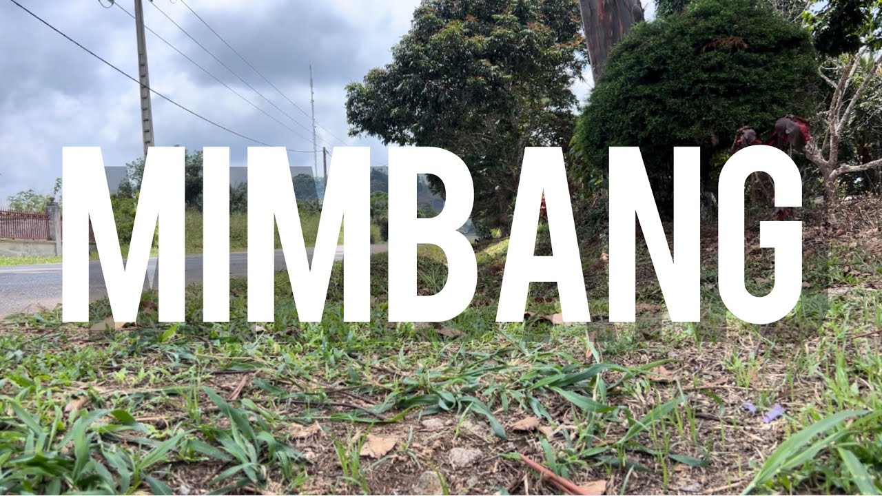 Gabon 🇬🇦 : Mimbang, il y a quoi là dedans ? Découvertes