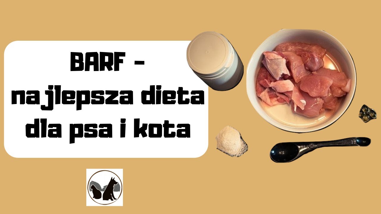 BARF - najlepsza dieta dla psa i kota (2020)