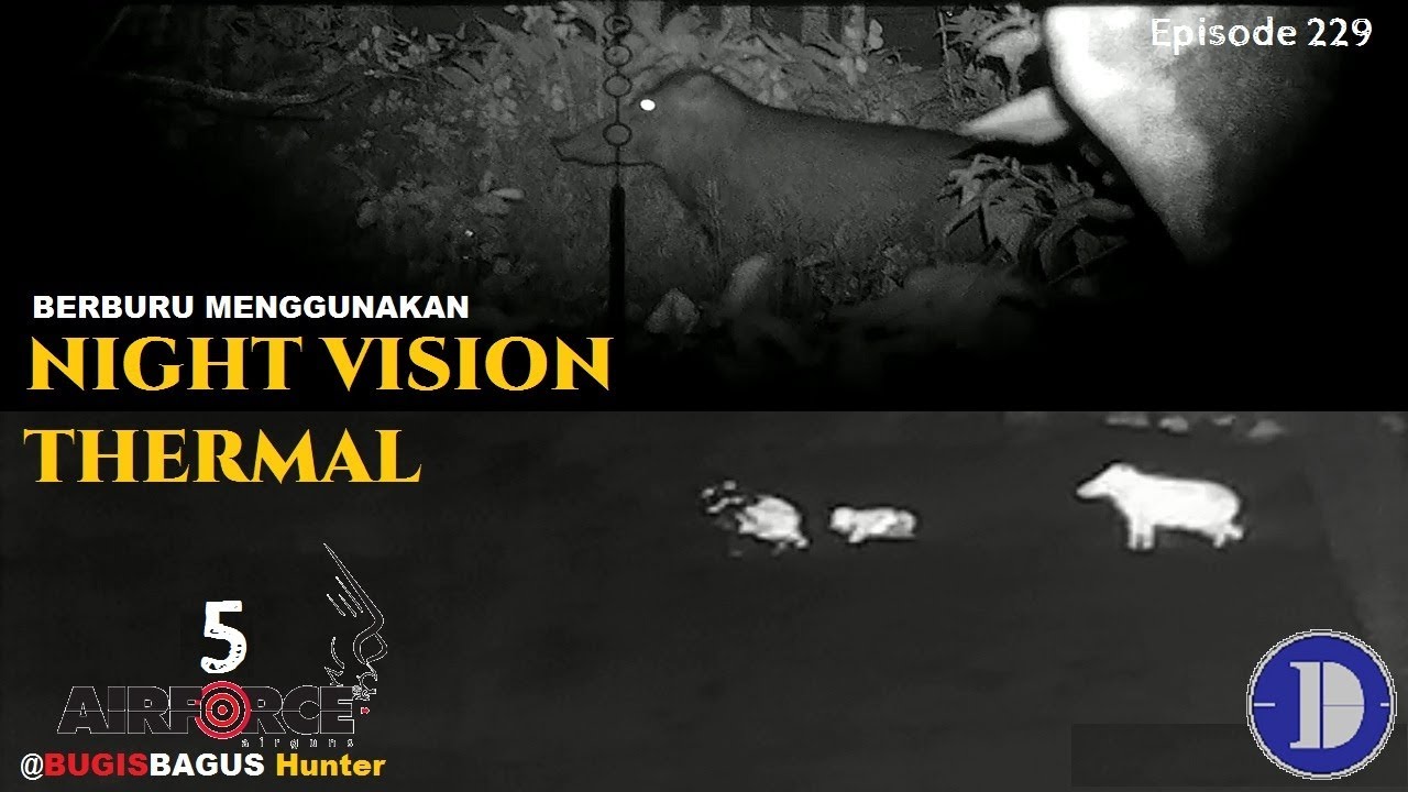 Thermal dan Night Vision Murah Untuk Berburu, T2pro dan Discovery NV001G2 Ep229