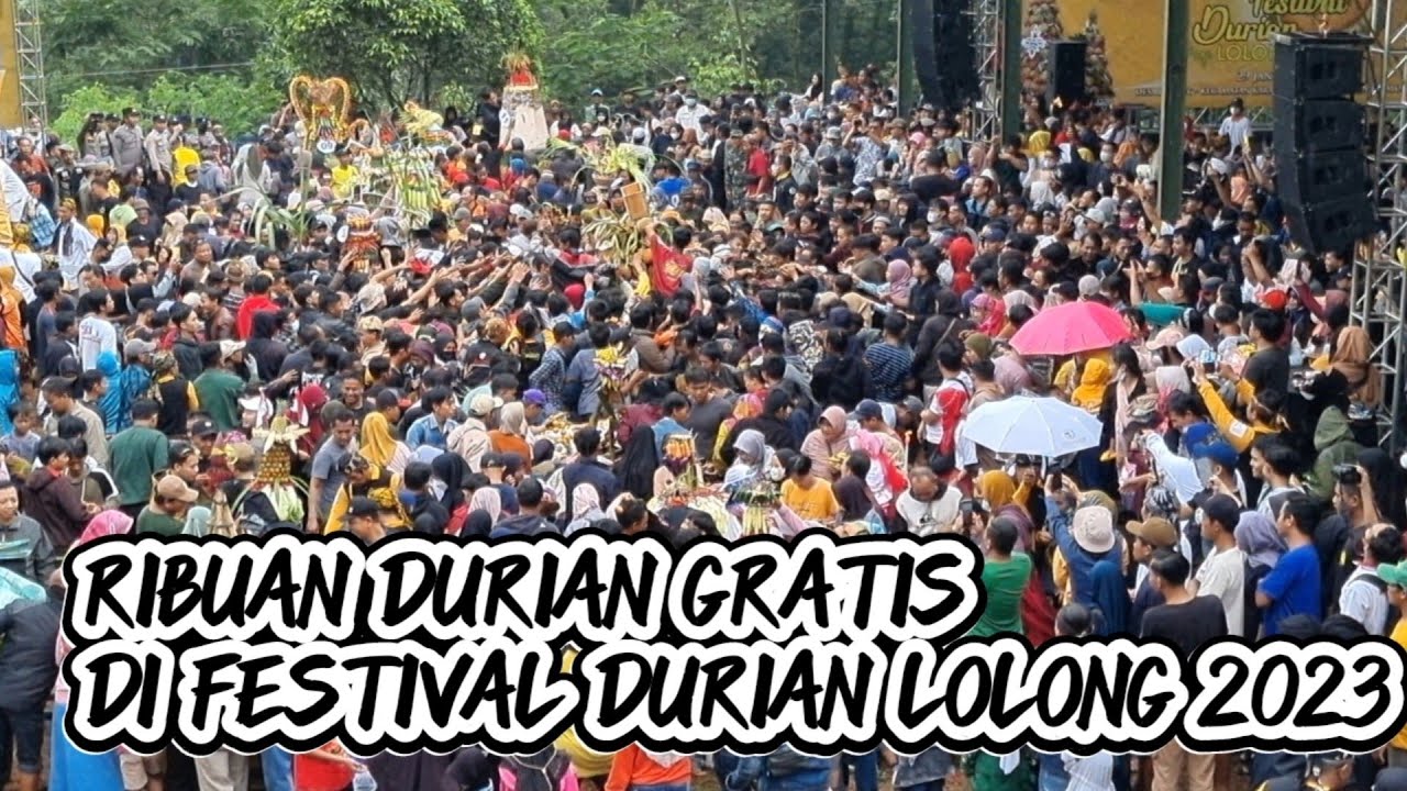 Ribuan Durian Gratis di Festival Durian Lolong 2023 #2 #festival #durian #lolong #pekalongan