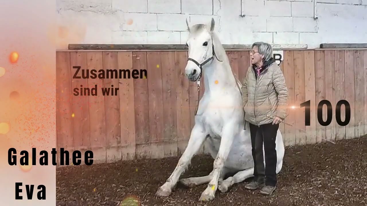Zusammen sind wir 100