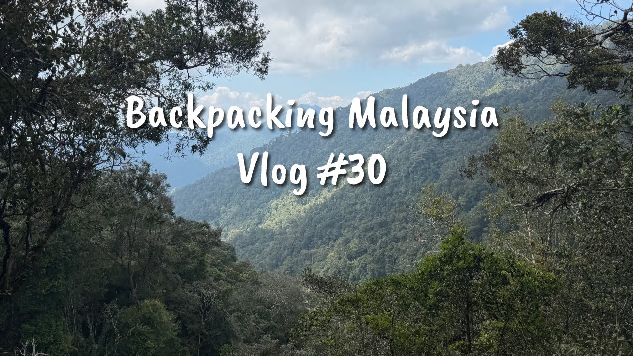 Vlog #30 – Cameron Highlands: Teeplantagen, 20 km Gipfelwanderung & echtes Local Food