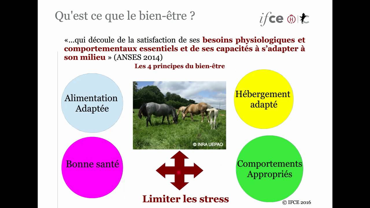 C. Briant - Webconférence - Bien-être : plus qu’un concept, une nécessité