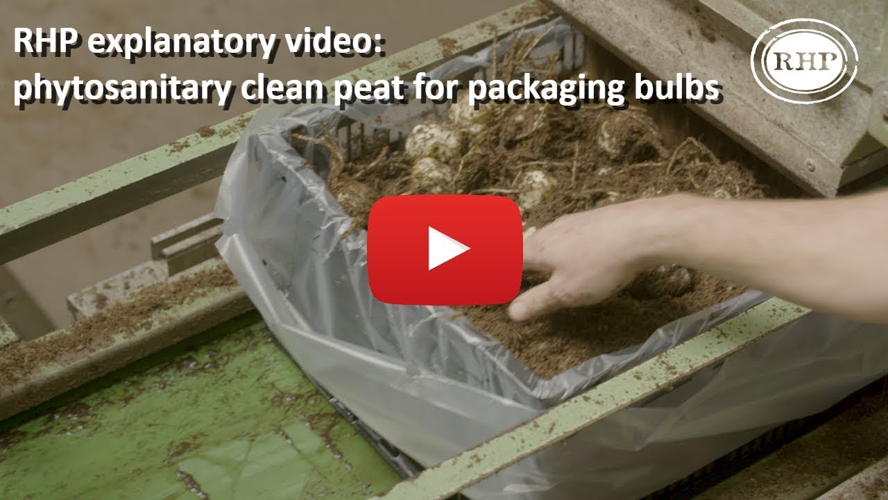 RHP explanatory video - Phytosanitary clean peat for packaging bulbs