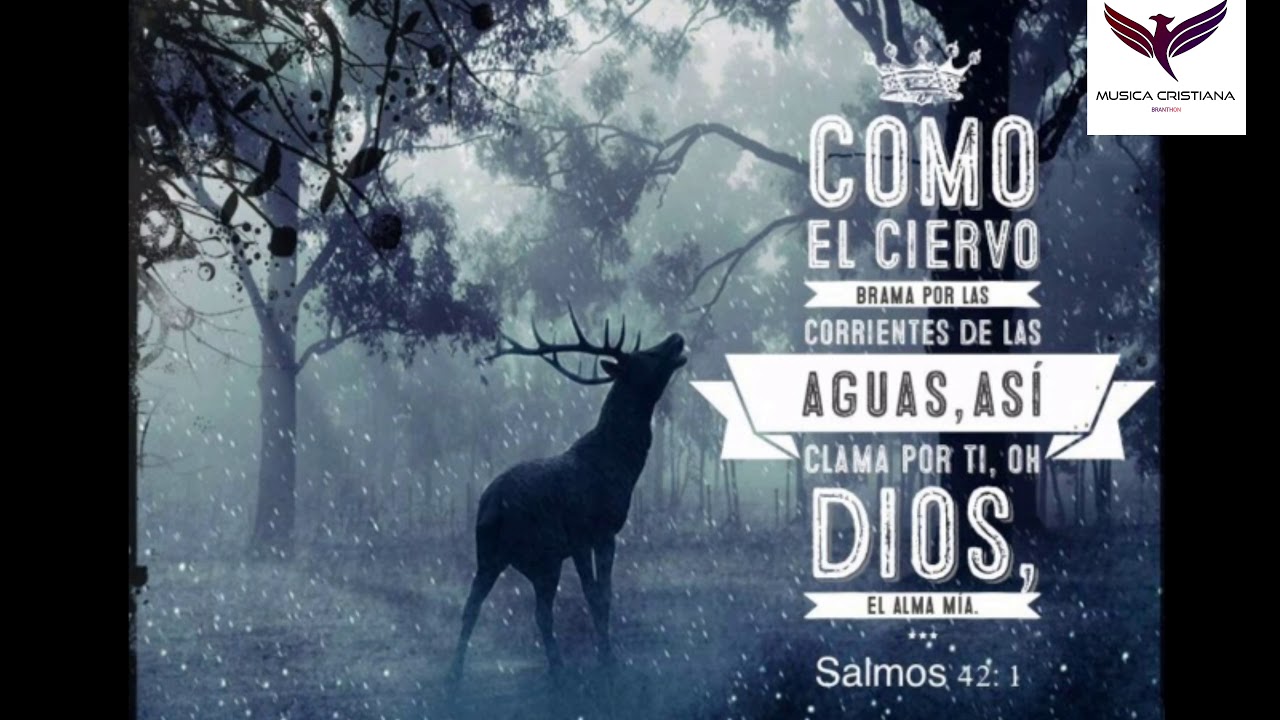 Cómo El Ciervo - Julio Márquez-Casa de Oración-Subtitulado