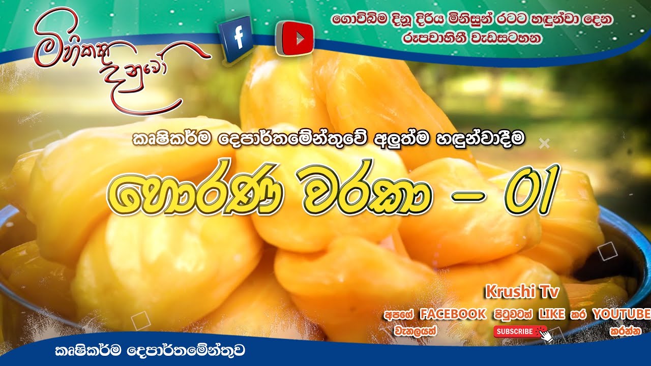 Govibimata Arunalu TV Program | කෘෂිකර්ම දෙපාර්තමේන්තුවේ 