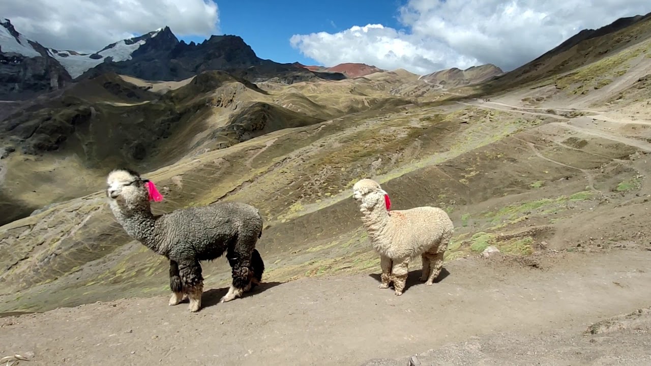 Peru 360 WeRoad | My peruvian dream