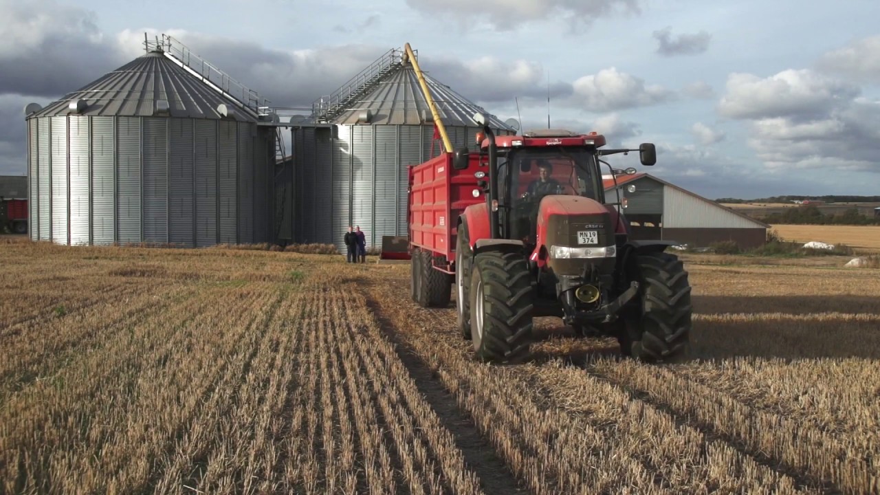 Sukup Europe / DanCorn Silo / bin & dryer - Farmer  Peder Kappelgård - English speak