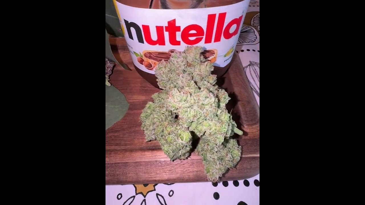 Lemon Cherry Cookies Auto&trade;🍋🍒 Fast Buds | Indica by valiotoro