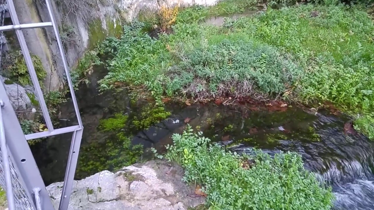 Escorrent&iacute;a del ciclo del agua