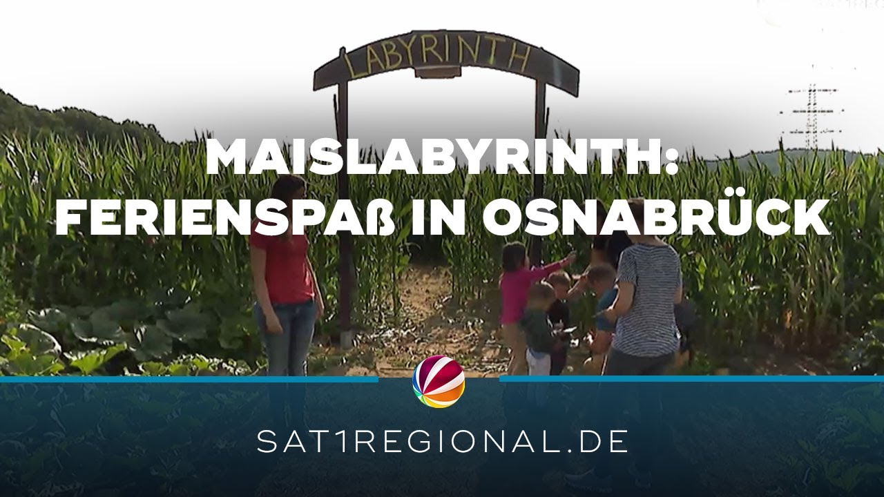 Maislabyrinth: Ferienspaß auf Hof Hauswörmann in Osnabrück