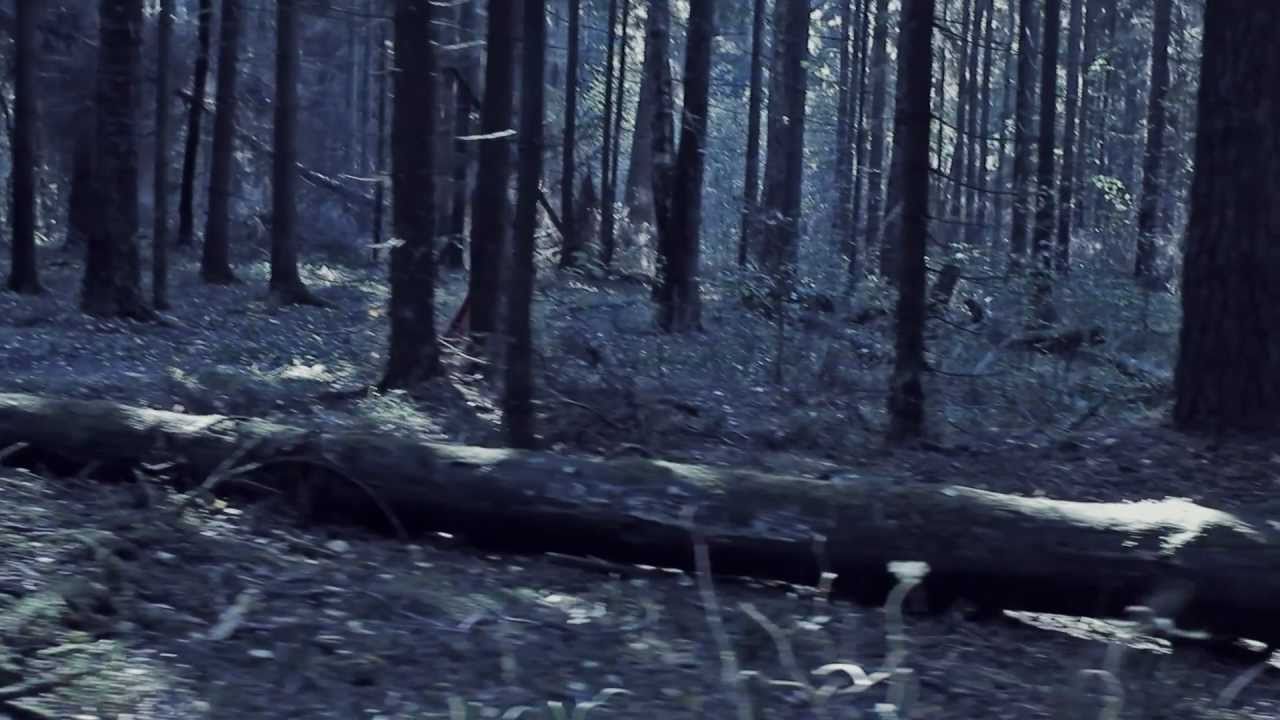 Анна Пингина - Ласточка. Anna Pingina - Lastochka (The Swallow).