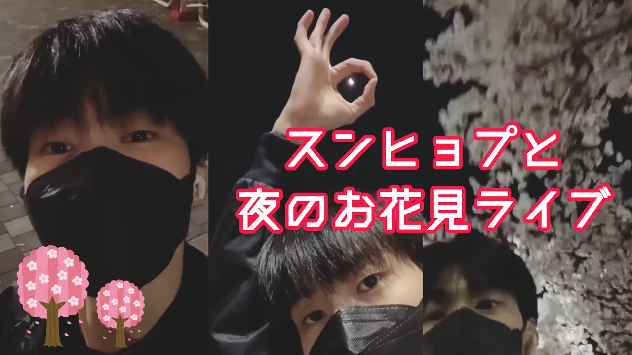 【日本語字幕】スンヒョプと夜のお花見ライブ - N.Flying