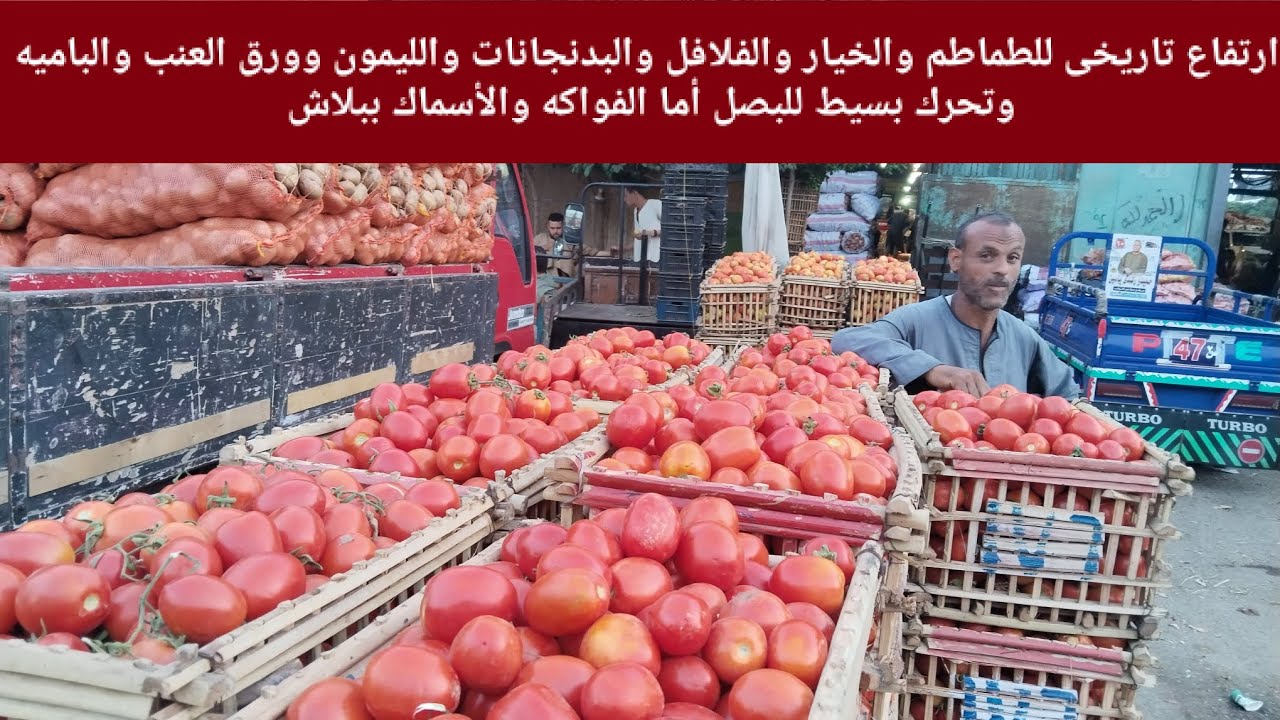 ارتفاع تاريخى للطماطم والخيار والفلافل والبدنجانات والليمون وورق العنب والباميه وتحرك بسيط للبصل 
