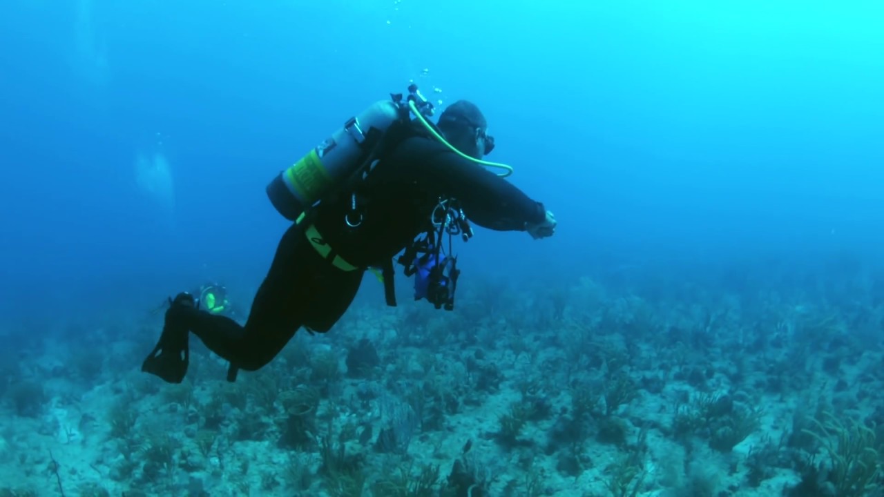 DIVINGS BEST KEPT SECRET | Guanica Wall Puerto Rico-EP3